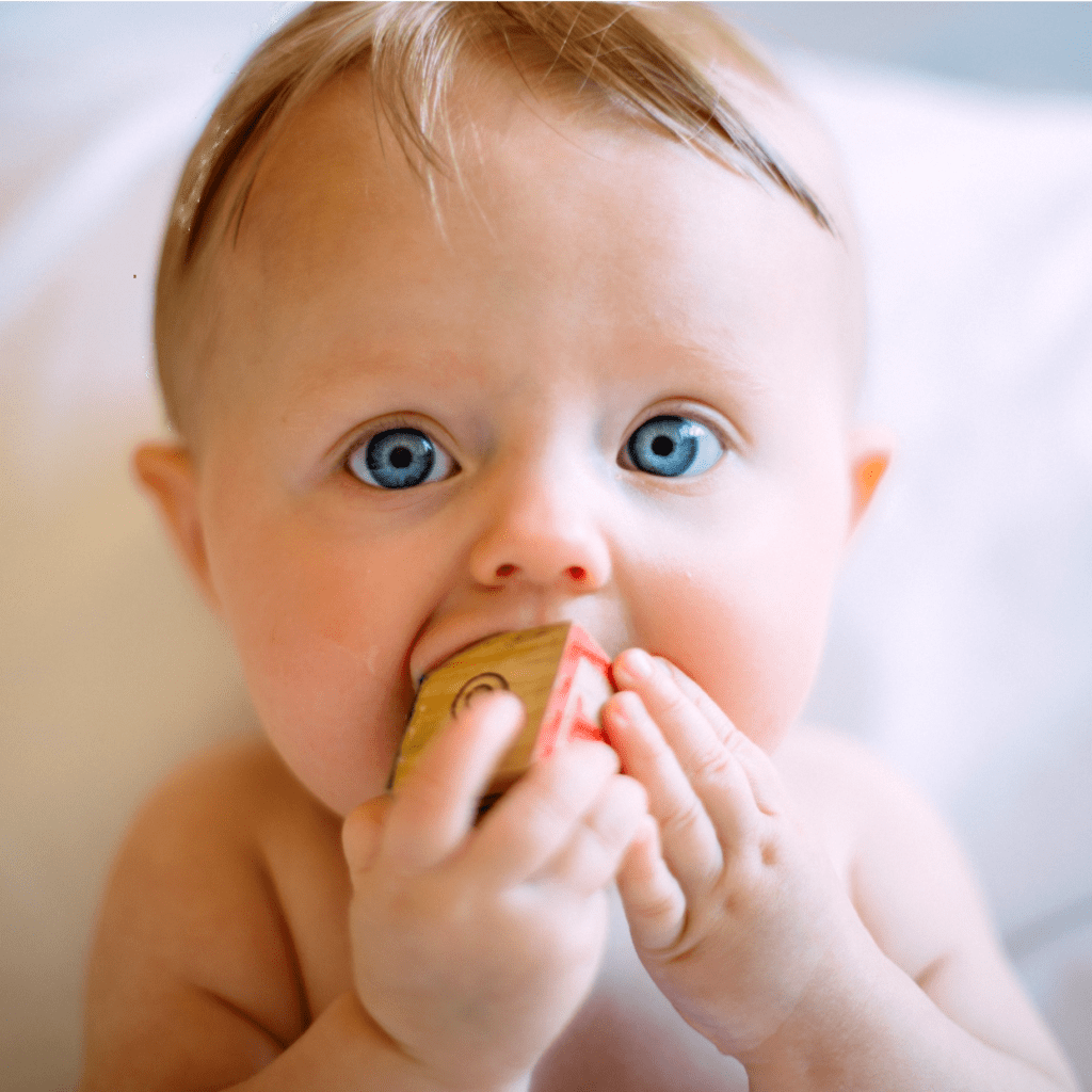 Toledo Fertility Center Open House