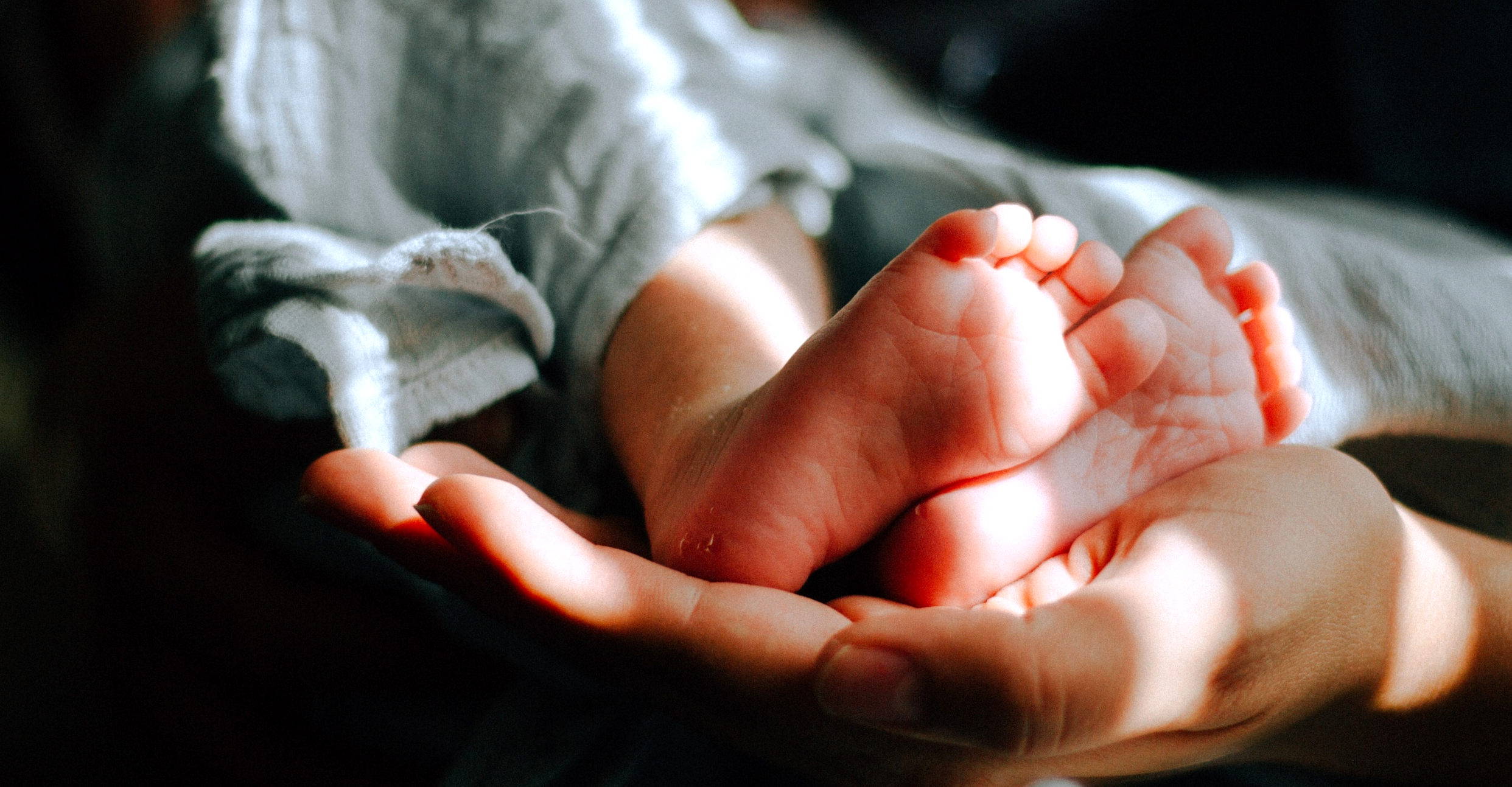 Toledo Fertility Center Open House (2) TOLEDO FERTILITY CENTER TO HOST OPEN HOUSE AUGUST 18