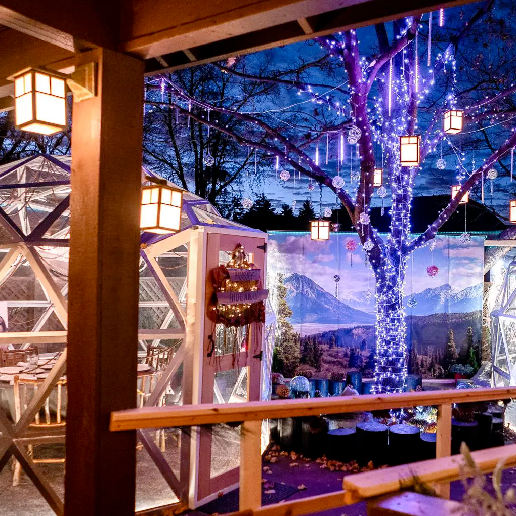 Igloos in metro Detroit