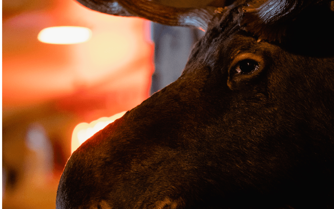 Moose Preserve Celebrates 25th Anniversary