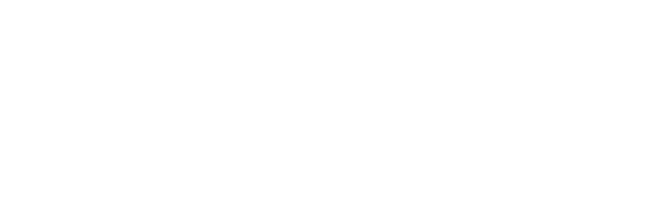 CS-VIZI-Logo
