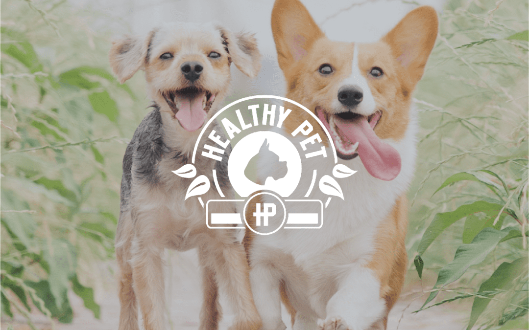 Healthy Pet