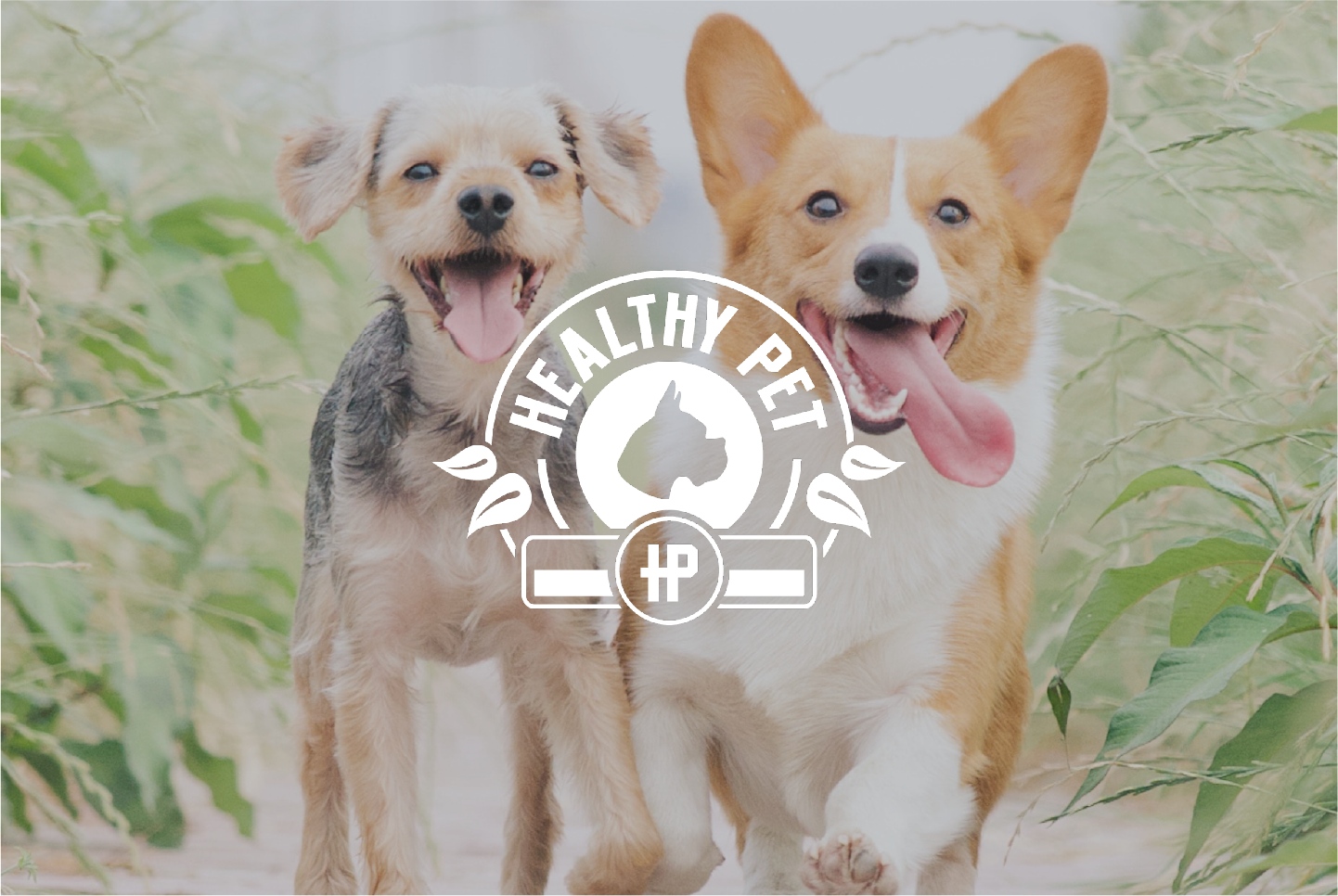 Healthy Pet