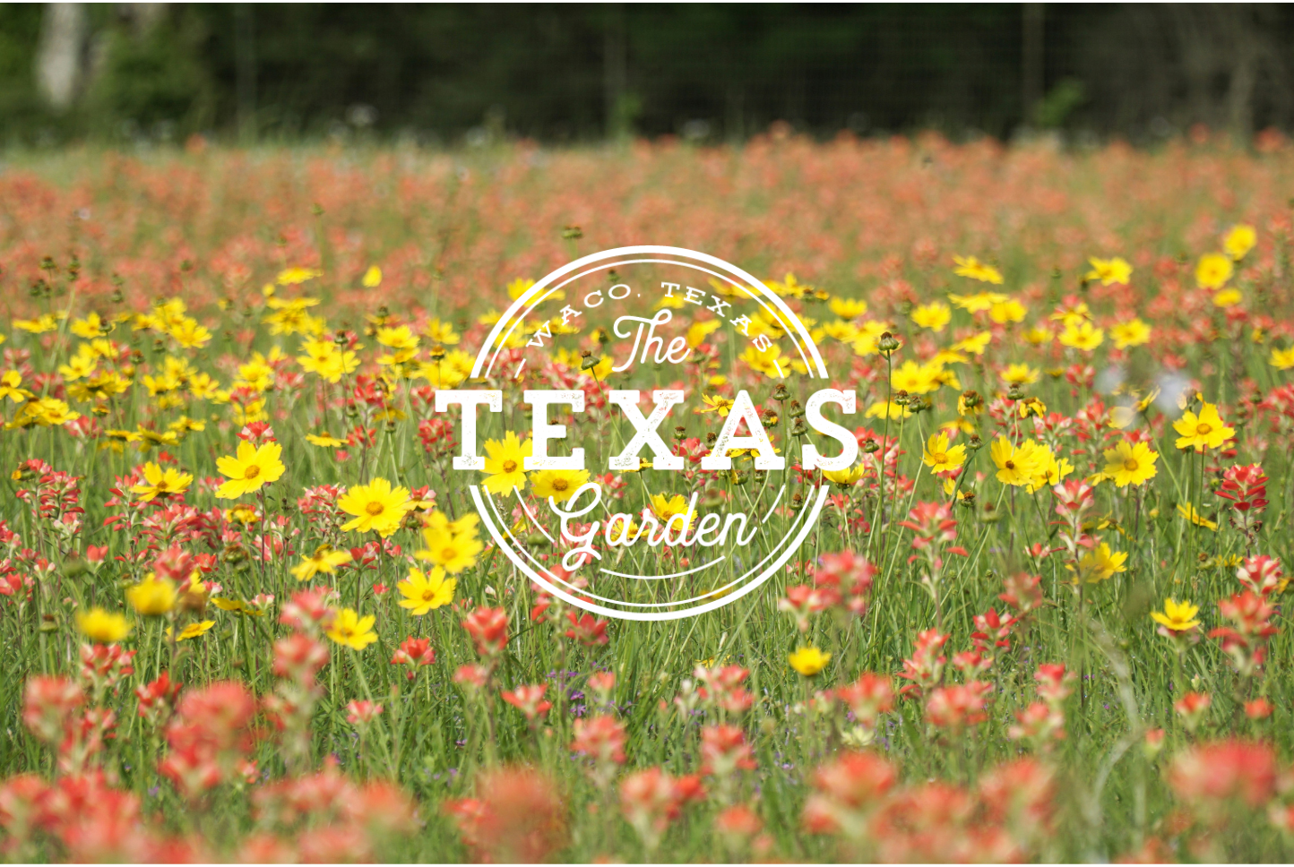 The Texas Garden